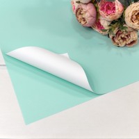 Плёнка в листах 55*55 (20 шт.) матовая двухсторонняя 65мкм Голубой/Белый 1/60 Арт: 1631/635
