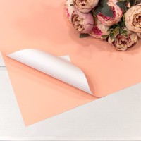 Плёнка в листах 55*55 (20 шт.) матовая двухсторонняя 65мкм Персиковый/Белый 1/60 Арт: 1631/4032