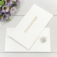Конверт подарочный 16,9*9,4см 1209 1/10 1/250 Арт: 003012/9