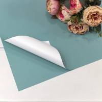 Плёнка в листах 55*55 (20 шт.) матовая двухсторонняя 65мкм Серо-голубой/Белый 1/60 Арт: 1631/5503