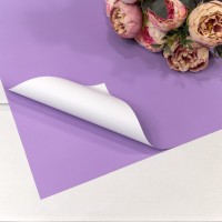 Плёнка в листах 55*55 (20 шт.) матовая двухсторонняя 65мкм Сиреневый/Белый 1/60 Арт: 1631/0631