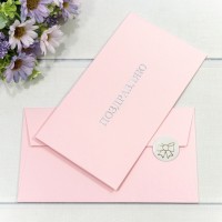 Конверт подарочный 16,9*9,4см 1305 1/10 1/250 Арт: 003013/5
