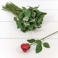 Стебель для розы с листьями 30см 1/50 1/3000 Арт: 420050/2