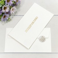 Конверт подарочный 16,9*9,4см 1309 1/10 1/250 Арт: 003013/9