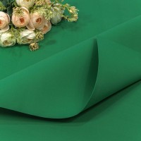 Фоамиран в листах 1мм 70*60 (10 шт.) Мятно-зелёный 1/25 Арт: 2020/14