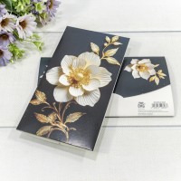 Конверт подарочный 16,5*9см 360 1/10 1/250 Арт: 003004/360