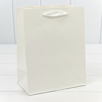 Пакет подарочный Крафт "Люкс" 18*23*10 210г Белый 1/10 1/360 Арт: 000221E/9