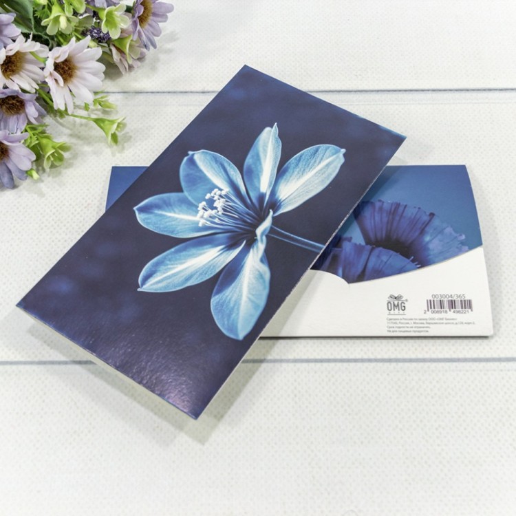 Конверт подарочный 16,5*9см 365 1/10 1/250 Арт: 003004/365