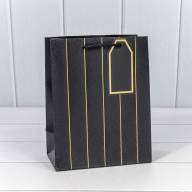 Пакет подарочный с тиснением "Полосы" (микс) 18*23*10 210г 1/20 1/360 Арт: 000490E - Пакет подарочный с тиснением "Полосы" (микс) 18*23*10 210г 1/20 1/360 Арт: 000490E