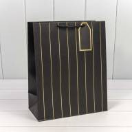 Пакет подарочный с тиснением "Полосы" (микс) 26*32*13 210г 1/20 1/240 Арт: 000490C - Пакет подарочный с тиснением "Полосы" (микс) 26*32*13 210г 1/20 1/240 Арт: 000490C
