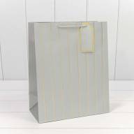 Пакет подарочный с тиснением "Полосы" (микс) 26*32*13 210г 1/20 1/240 Арт: 000490C - Пакет подарочный с тиснением "Полосы" (микс) 26*32*13 210г 1/20 1/240 Арт: 000490C