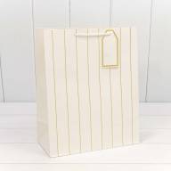 Пакет подарочный с тиснением "Полосы" (микс) 26*32*13 210г 1/20 1/240 Арт: 000490C - Пакет подарочный с тиснением "Полосы" (микс) 26*32*13 210г 1/20 1/240 Арт: 000490C