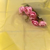Бумага в листах "Тишью" 50*66 (10 шт.) Тёмно-жёлтый 1/250 Арт: 000100/3