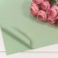 Плёнка в листах 60*60 (20 шт.) матовая "Корейская" 55мкм Бледно-зелёный 1/60 Арт: 1698/559