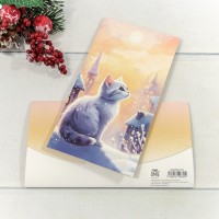 Конверт подарочный 16,5*9см 351 1/10 1/250 Арт: 003004/351