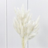 Сухоцветы "Лагурус" 60см (55±5 шт.) Белый 1/250 Арт: 420062/11