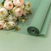 Плёнка 0,59*34м 900г матовая однотонная 55мкм Бледно-зелёный-558 1/6 1/12 Арт: 90057/558