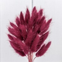 Сухоцветы "Лагурус" 60см (55±5 шт.) Бордовый 1/250 Арт: 420062/6