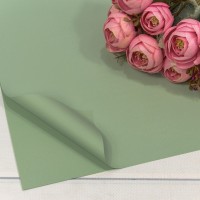 Плёнка в листах 55*55 (20 шт.) матовая "Корейская" 65мкм Бледно-зелёный-4204 1/60 Арт: 1698/4204