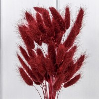 Сухоцветы "Лагурус" 60см (55±5 шт.) Красный 1/250 Арт: 420062/7