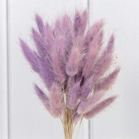 Сухоцветы "Лагурус" 60см (55±5 шт.) Пурпурный 1/250 Арт: 420062/4
