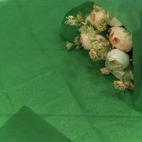 Бумага в листах "Тишью" 50*66 (10 шт.) Зелёный 1/250 Арт: 000100/10