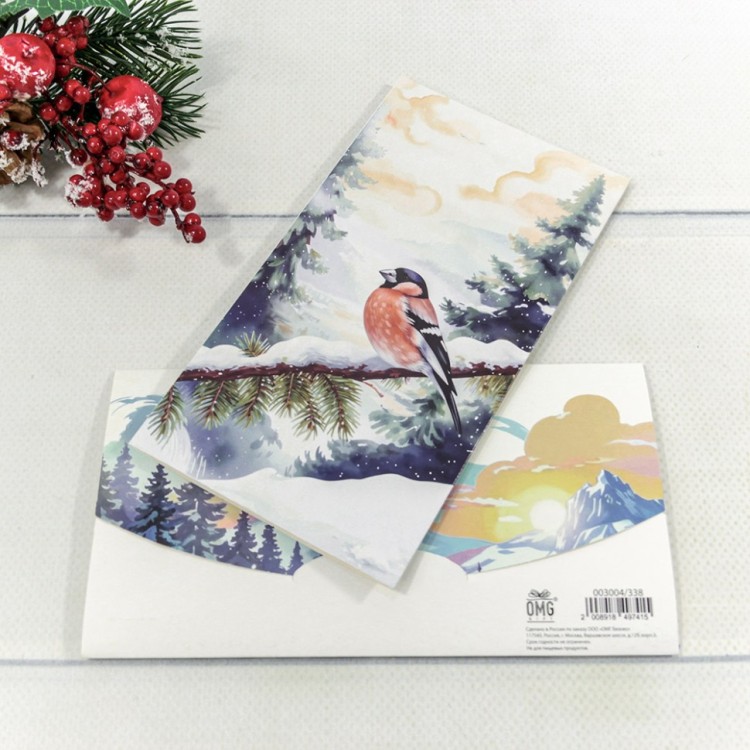 Конверт подарочный 16,5*9см 338 1/10 1/250 Арт: 003004/338