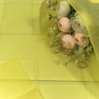 Бумага в листах "Тишью" 50*66 (10 шт.) Жёлтый 1/250 Арт: 000100/16