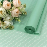 Плёнка 59см 800г матовая "Письмо" 55мкм Магическая мята 1/6 1/12 Арт: 80008/0921