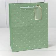 Пакет подарочный с тиснением "Сердечки" (микс 2) 26*32*12 210г 1/20 1/240 Арт: 000545C - Пакет подарочный с тиснением "Сердечки" (микс 2) 26*32*12 210г 1/20 1/240 Арт: 000545C