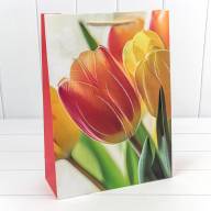 Пакет подарочный с блёстками "Тюльпаны" (микс) 30*41,5*12 210г 1/20 1/80 Арт: 000256A - Пакет подарочный с блёстками "Тюльпаны" (микс) 30*41,5*12 210г 1/20 1/80 Арт: 000256A