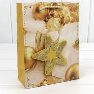Пакет подарочный &quot;Новый год&quot; (микс 455) 18*23*10 210г 1/20 1/360 Арт: 300455E - Пакет подарочный "Новый год" (микс 455) 18*23*10 210г 1/20 1/360 Арт: 300455E