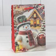 Пакет подарочный &quot;Новый год&quot; (микс 435) 14*20*8 128г 1/20 1/600 Арт: 300435G - Пакет подарочный "Новый год" (микс 435) 14*20*8 128г 1/20 1/600 Арт: 300435G