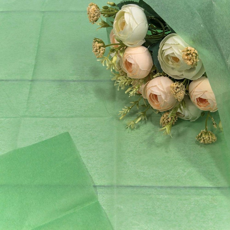 Бумага в листах "Тишью" 50*66 (10 шт.) Светло-зелёный 1/250 Арт: 000100/21