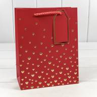 Пакет подарочный с тиснением "Сердечки" (микс 1) 18*23*10 210г 1/20 1/360 Арт: 000880E - Пакет подарочный с тиснением "Сердечки" (микс 1) 18*23*10 210г 1/20 1/360 Арт: 000880E