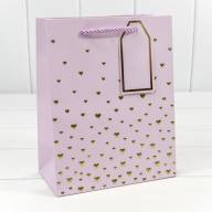 Пакет подарочный с тиснением "Сердечки" (микс 1) 18*23*10 210г 1/20 1/360 Арт: 000880E - Пакет подарочный с тиснением "Сердечки" (микс 1) 18*23*10 210г 1/20 1/360 Арт: 000880E