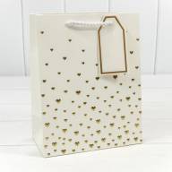 Пакет подарочный с тиснением "Сердечки" (микс 1) 18*23*10 210г 1/20 1/360 Арт: 000880E - Пакет подарочный с тиснением "Сердечки" (микс 1) 18*23*10 210г 1/20 1/360 Арт: 000880E