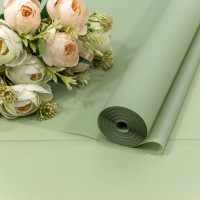 Плёнка 0,59*34м 900г матовая однотонная 55мкм Бледно-зелёный-2404 1/6 1/12 Арт: 90057/2404