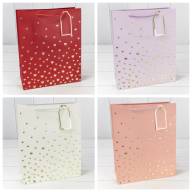 Пакет подарочный с тиснением "Сердечки" (микс 1) 26*32*12 210г 1/20 1/240 Арт: 000880C - Пакет подарочный с тиснением "Сердечки" (микс 1) 26*32*12 210г 1/20 1/240 Арт: 000880C