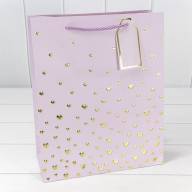 Пакет подарочный с тиснением "Сердечки" (микс 1) 26*32*12 210г 1/20 1/240 Арт: 000880C - Пакет подарочный с тиснением "Сердечки" (микс 1) 26*32*12 210г 1/20 1/240 Арт: 000880C