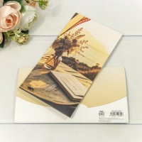 Конверт подарочный 16,5*9см 306 1/10 1/250 Арт: 003004/306