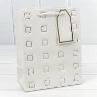 Пакет подарочный с тиснением "Квадратики" (микс) 18*23*10 210г 1/20 1/360 Арт: 000881E - Пакет подарочный с тиснением "Квадратики" (микс) 18*23*10 210г 1/20 1/360 Арт: 000881E