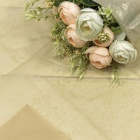  Бумага в листах "Тишью" 50*66 (10 шт.) Тёмно-бежевый 1/250 Арт: 000100/33