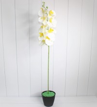 Орхидея 100см в ассортименте Арт.888-18