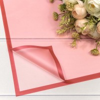 Плёнка в листах 58*58 (20 шт.) матовая с рамкой 50мкм Красный 1/60 Арт: 1692/3546
