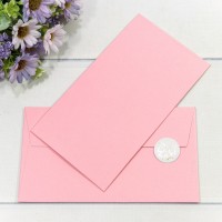 Конверт подарочный 16,9*9,4см 1006 1/10 1/250 Арт: 003010/6