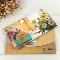 Конверт подарочный 16,5*9см 420 1/10 1/250 Арт: 003004/420