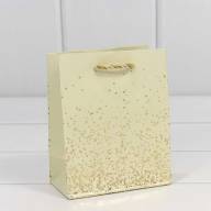 Пакет подарочный "Золотые вкрапления" (микс) 12*15*6,7 180г 1/20 1/240 Арт: 300368H - Пакет подарочный "Золотые вкрапления" (микс) 12*15*6,7 180г 1/20 1/240 Арт: 300368H