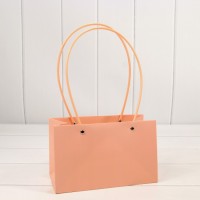 Пакет подарочный "Ваза для цветов" 22*13,5*10,5 Бежево-красный 1/10 1/120 Арт: 000170EA/4033