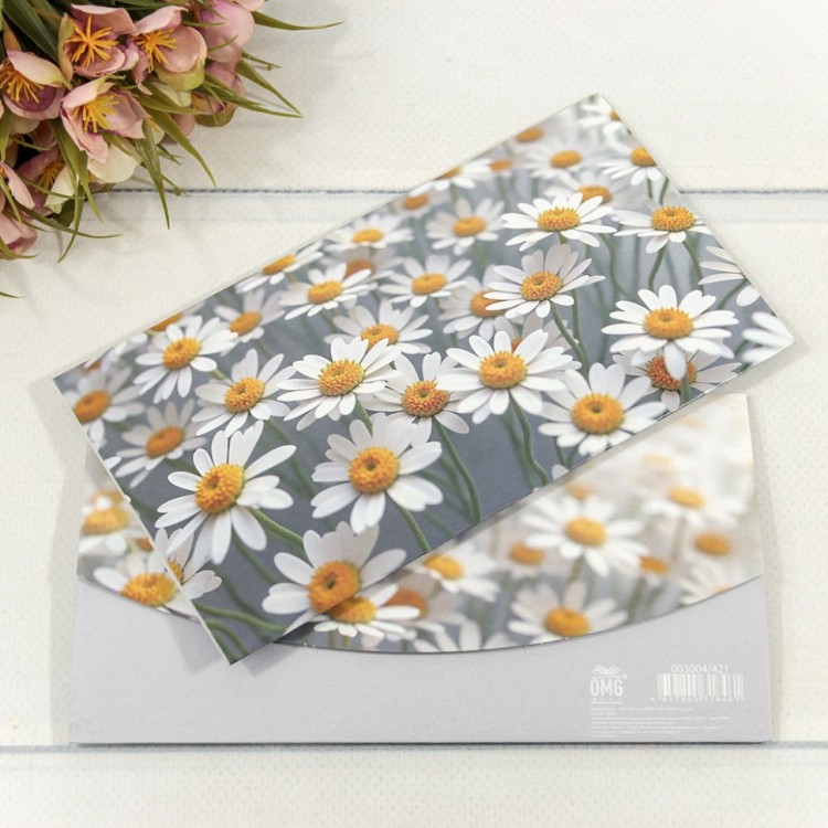 Конверт подарочный 16,5*9см 421 1/10 1/250 Арт: 003004/421